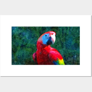 Red Macaw Parrot Tropical Bird Painting Posters and Art